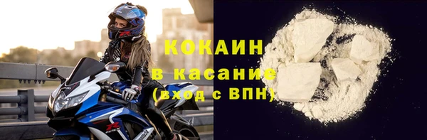 шишки Вязники