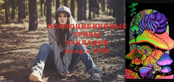 Альфа ПВП Вяземский