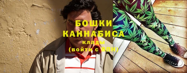 шишки Вязники