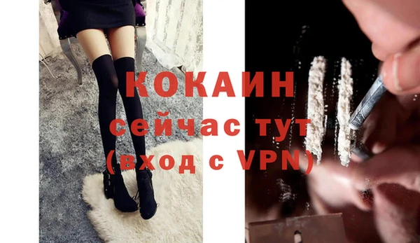 шишки Вязники