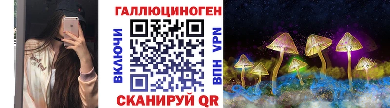 цены наркотик  Волгодонск  Галлюциногенные грибы мицелий 